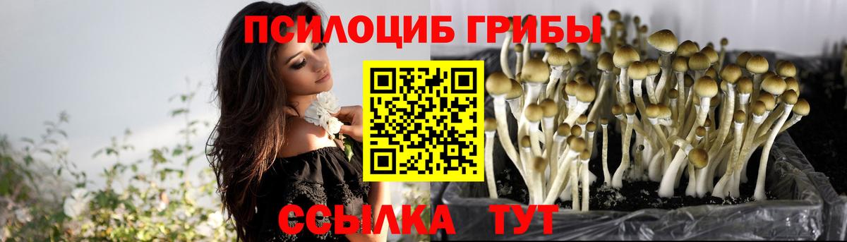Галлюциногенные грибы MAGIC MUSHROOMS  Псилоцибиновые грибы MAGIC MUSHROOMS  Алексеевка  Вход с VPN 