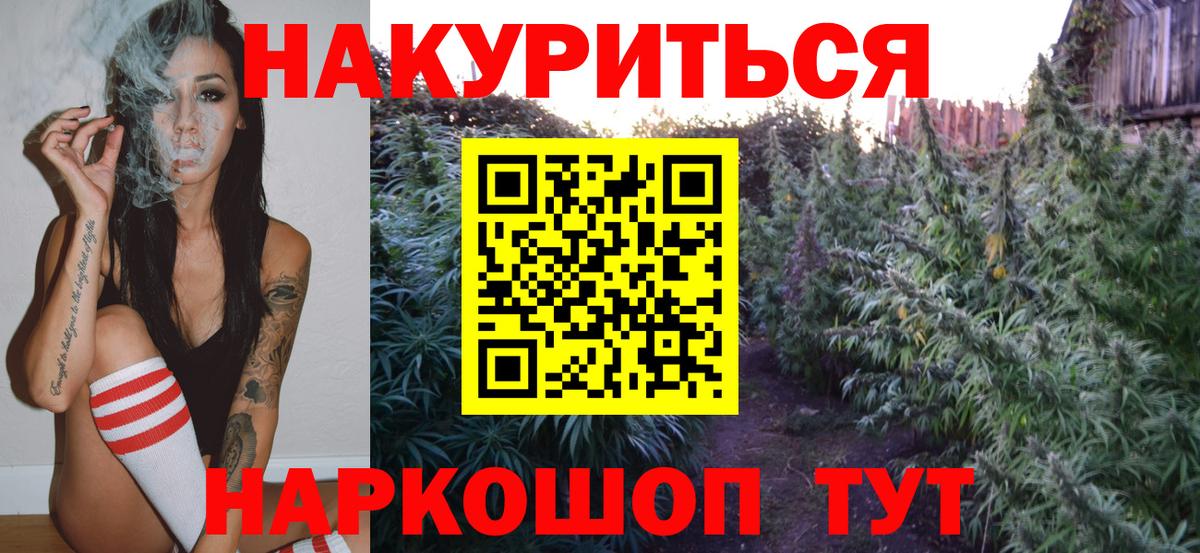 Конопля AK-47 Алексеевка